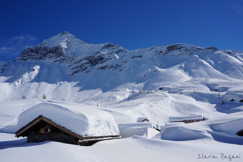 L'Alpe Prabello e sullo sfondo il Pizzo Scalino (foto I. Pagani)